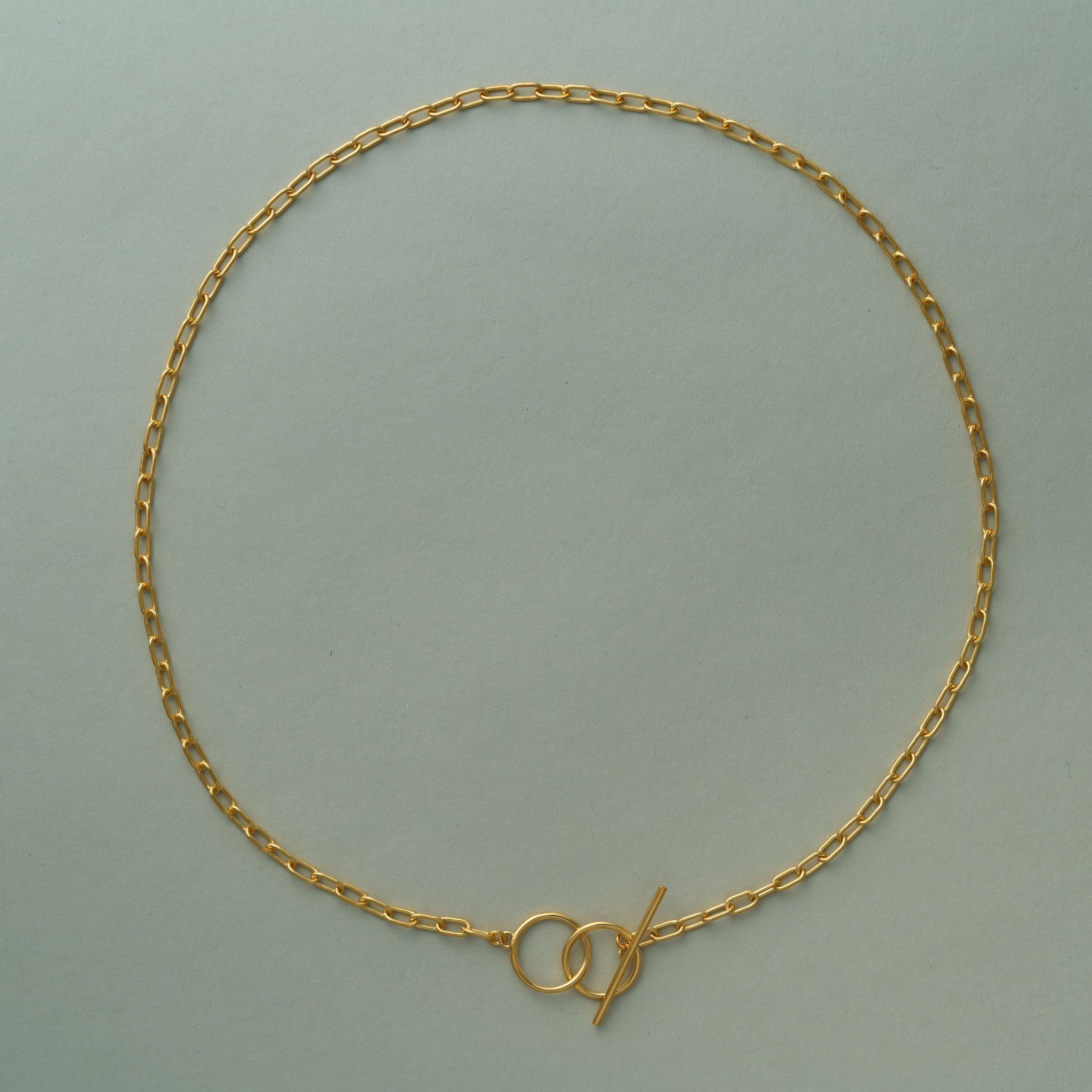Twin Loop Toggle Chain Gold Necklace
